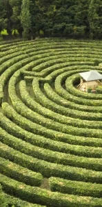 Photo du labyrinthe prise du ciel