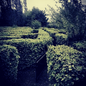 Photo d'allées du labyrinthe