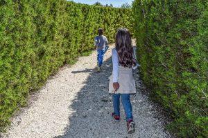 Photo de 2 enfants dans les allées du labyrinthe