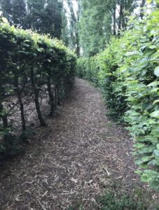 image d'une allée du labyrinthe, sans personnes