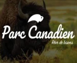 Photo de l'affiche du parc Canadien , un parc à loup et à Bison situé à Muchedent