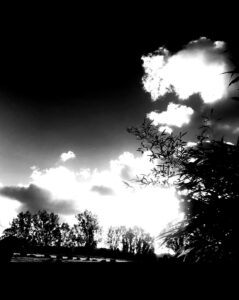 Photo du Labyrinthe de nuit