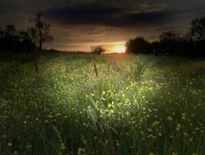 Photo d'un coucher de soleil